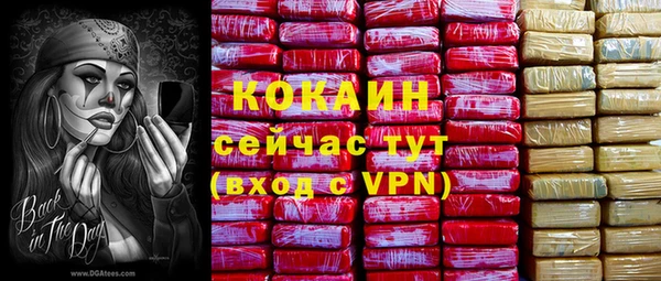 дживик Майский