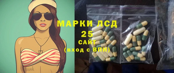 дживик Майский