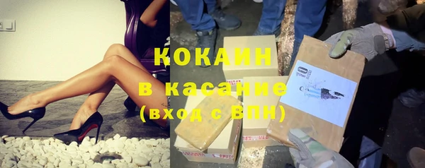 индика Магас