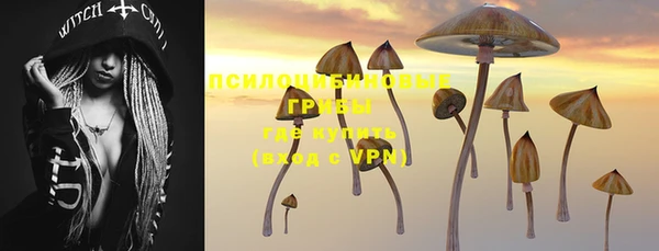 дживик Майский
