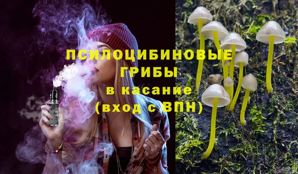 apvp Медвежьегорск