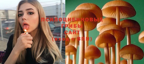 герыч Медногорск