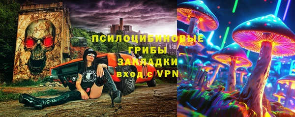 дживик Майский