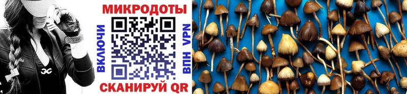 где купить наркоту  Звенигово  Псилоцибиновые грибы MAGIC MUSHROOMS 